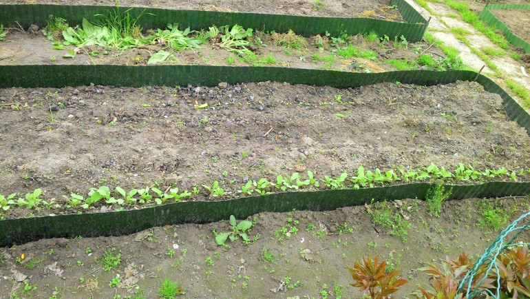 апрельские хлопоты на даче