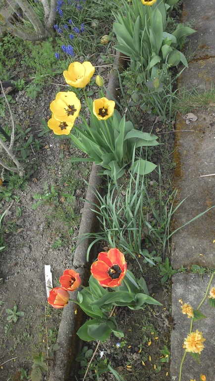 апрельские хлопоты на даче