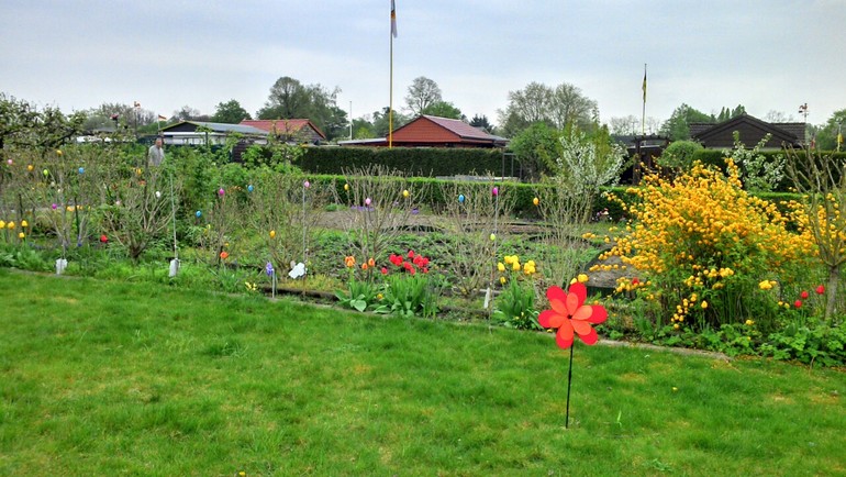апрельские хлопоты на даче
