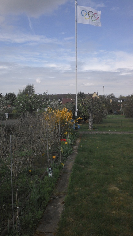 апрельские хлопоты на даче