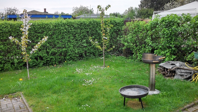 апрельские хлопоты на даче