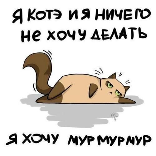 Тоже хочу мур-мур-мур