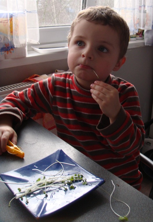 Вовкины необычности