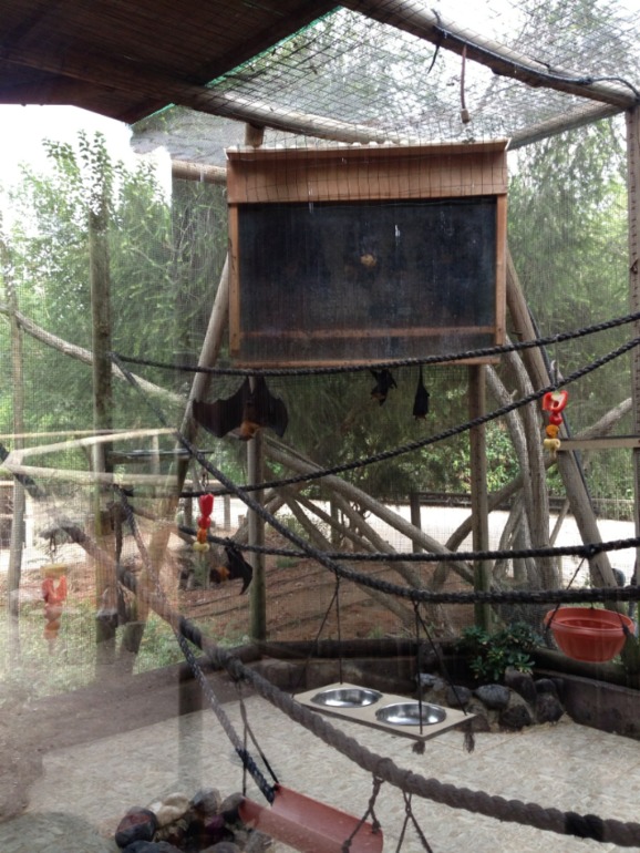 5й больничный день
