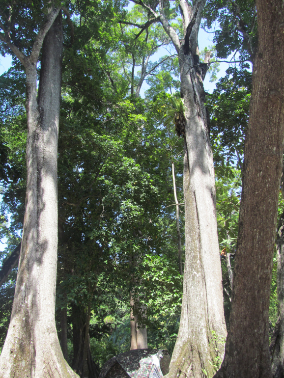 Тайланд, остров Пхукет. Отель Hyton Leelavady.