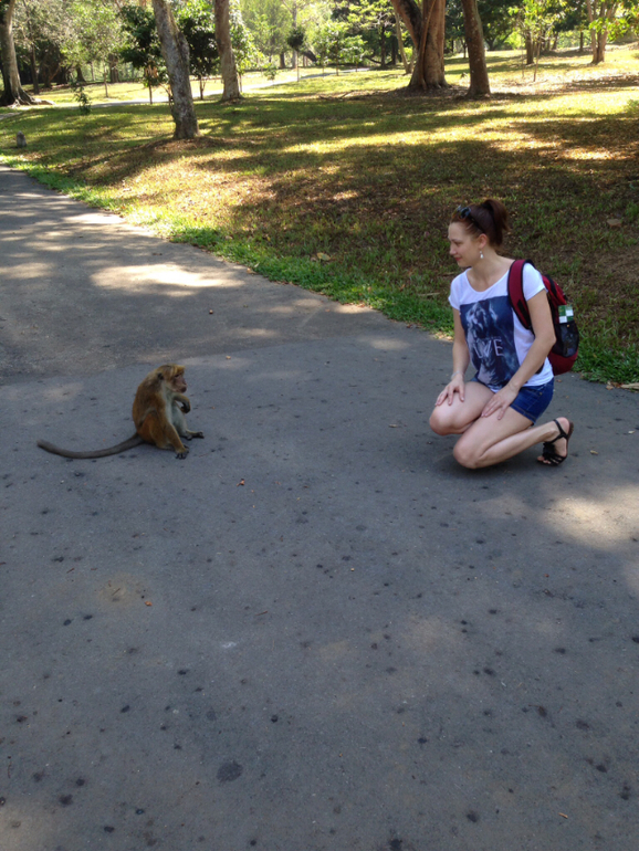 Наше путешествие на Шри Ланку