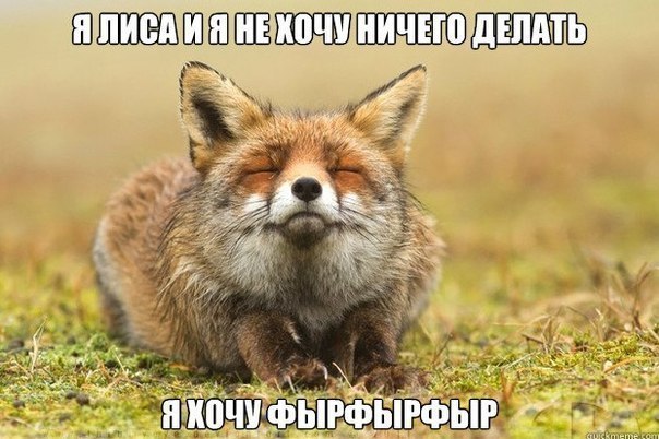Настроение дня...