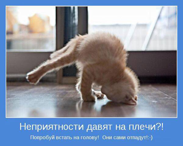 Взлет 73. Шаги 23-25. - разделение работ по зонам 3,4,5. Полеты с ёршиком и дневные рутины.