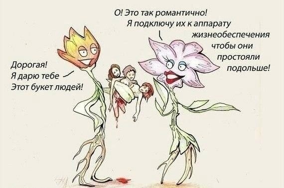82934757bf5415d405ba55c661cebb0e.jpg