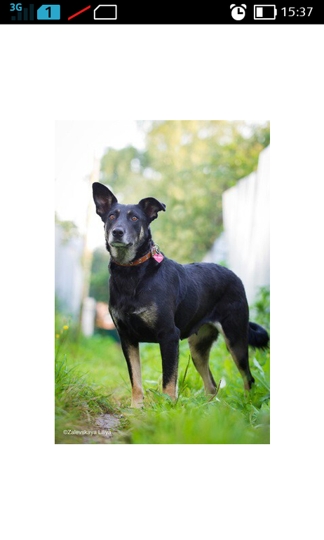 наша девочка!)))