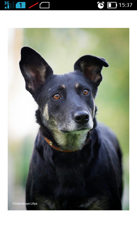 наша девочка!)))