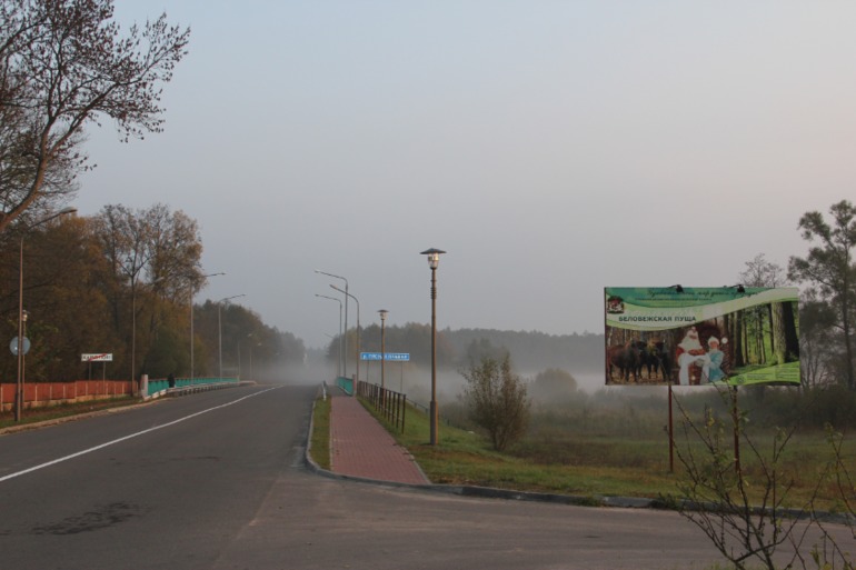 Беловежская пуща