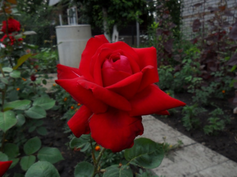 у нас уфе бум рождаемости))