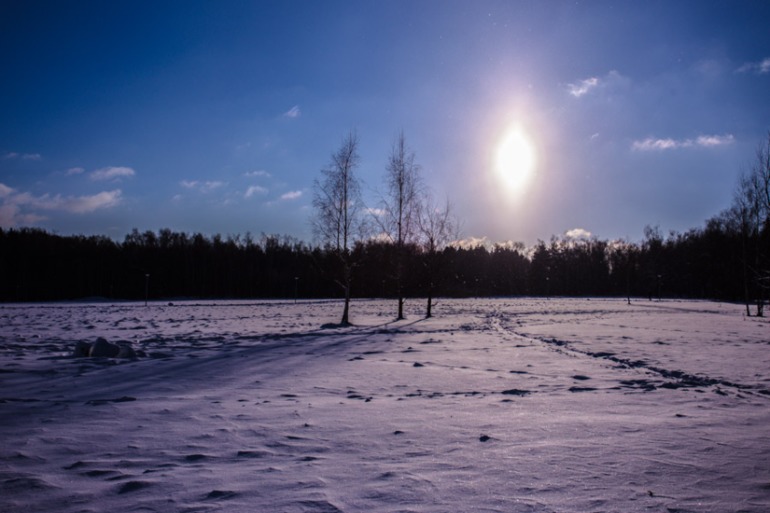 Фотография.Часть 6. Зимняя прогулка.
