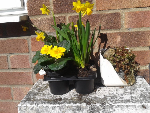 Наши воскресенья. Мобильная версия