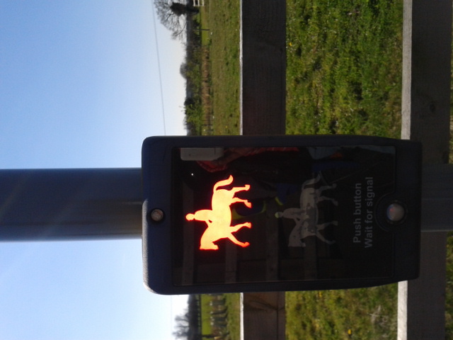 Наши воскресенья. Мобильная версия