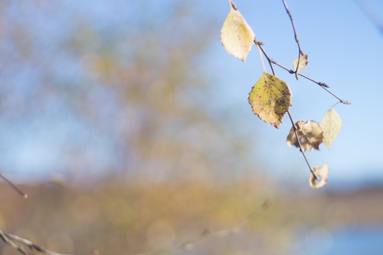 Фокус не ищите