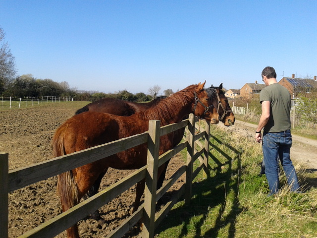 Наши воскресенья. Мобильная версия