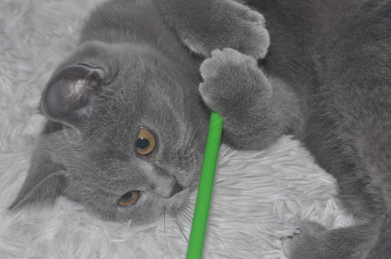 Наш Марселька