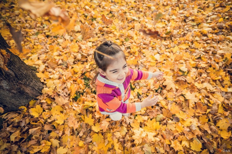 Золотая осень
