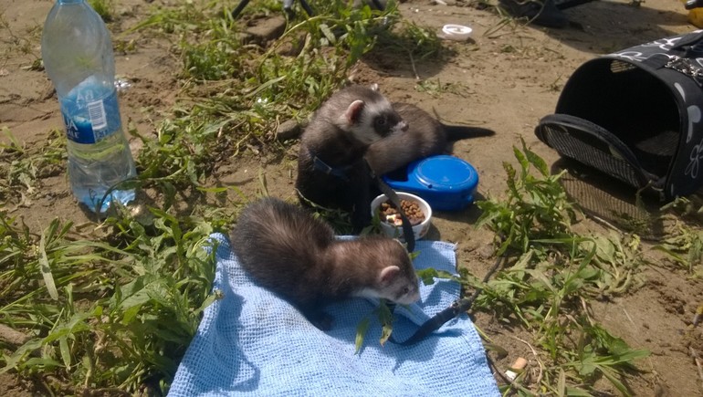 Наши малыши)