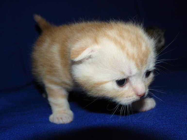 Наши малыши!