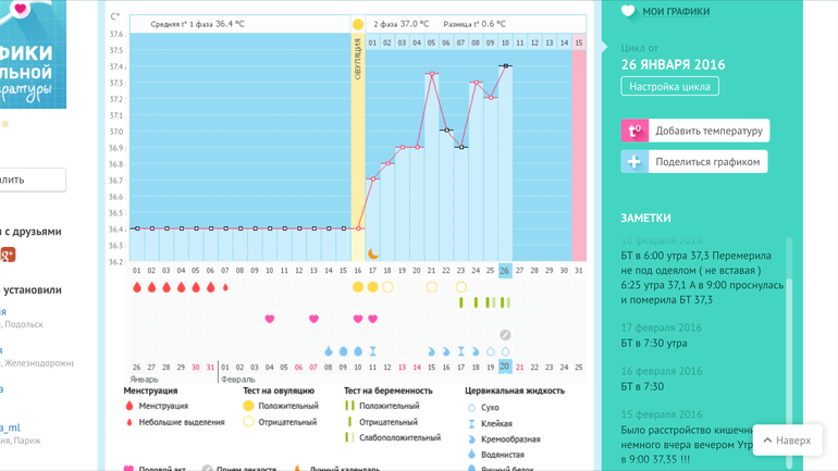 Мой график. Необычные беременные графики. Графики БТ бебиблог. Графики БТ бебиплан. Мой график беременный.