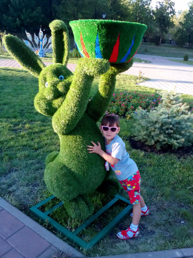 Картинка