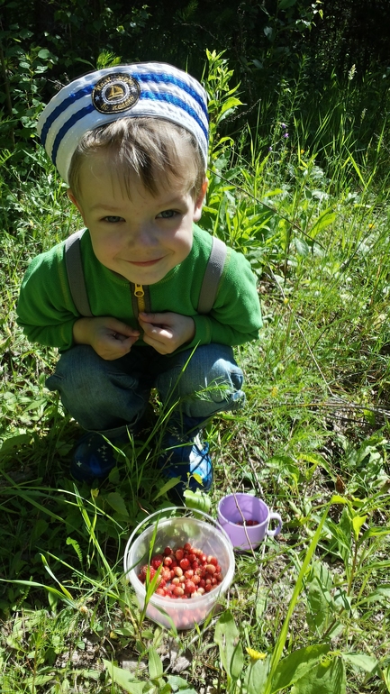 А мы обживаем дачку