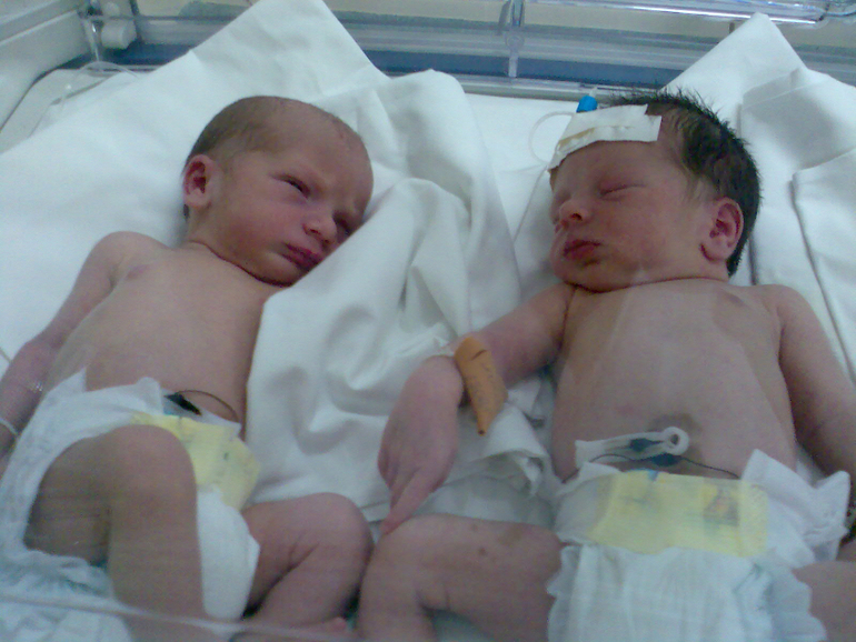 Мои солнышки