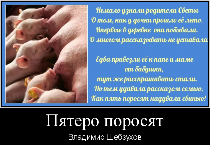 Я стал свиньей осеменителем в женском. Стих про поросенка. Стих про свинью. Стишок про свинью для детей. Стишки про свинку.