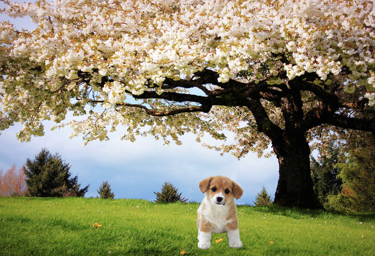 Урок №2 Вырезаем объект