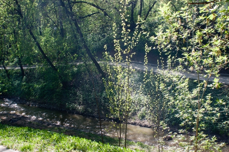 Парк