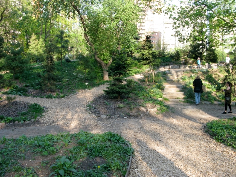 Аптекарский огород 2014