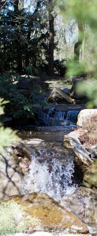 Японский сад