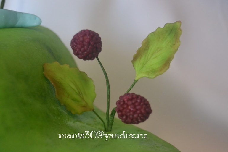 торт с феечкой