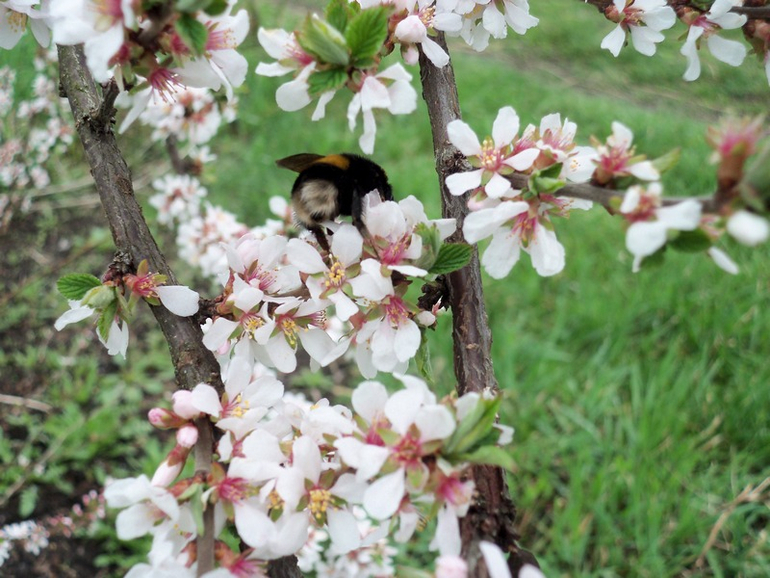 Пришла пора бораться за  ☺