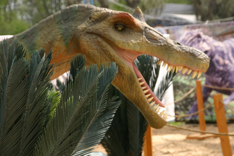 Динопарк на ВВЦ.