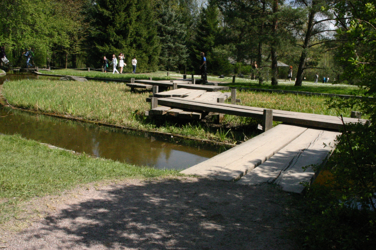 Японский сад.