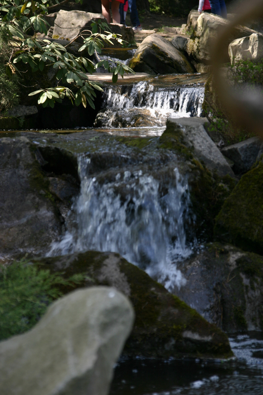 Японский сад.