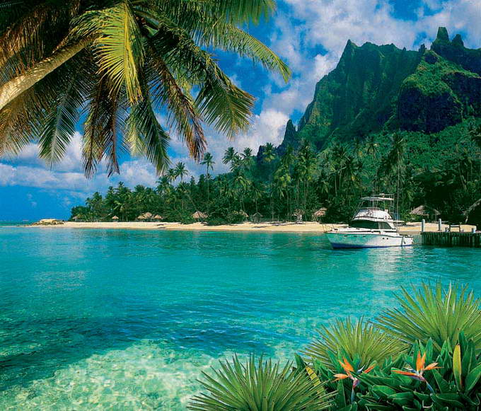 Нужен совет по фотообоям