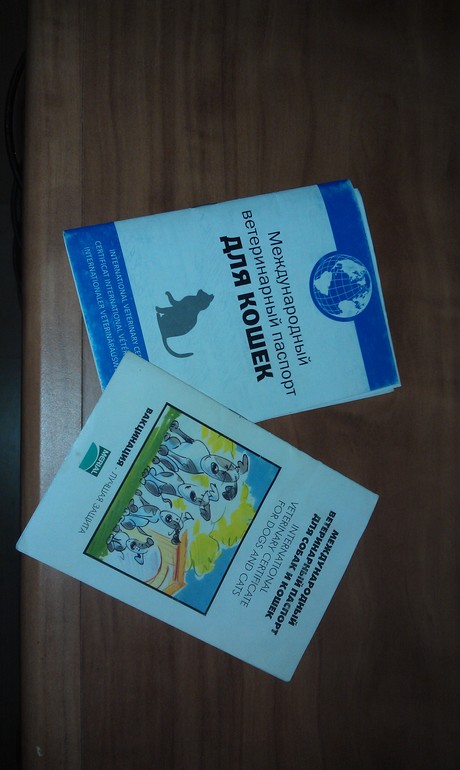 Диплом "Один день флай-леди!