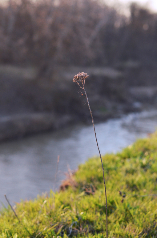 Моя малая Родина..