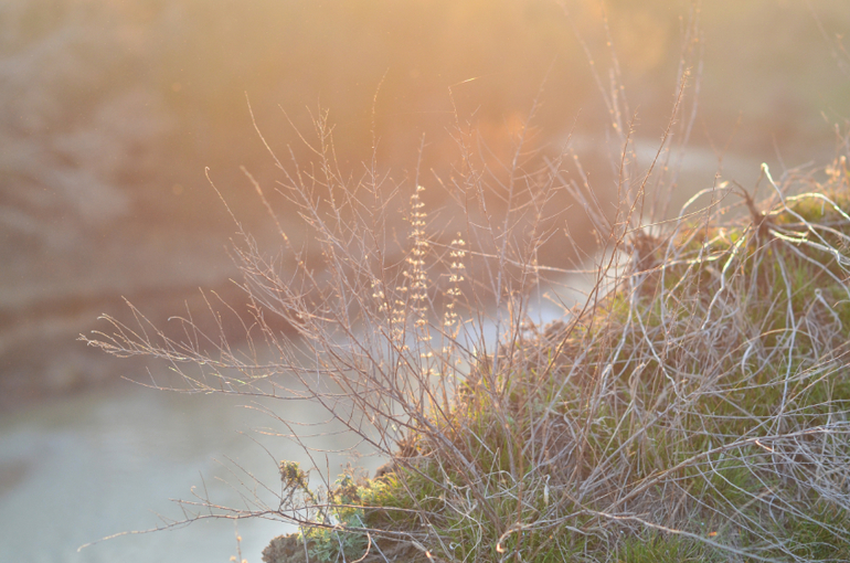 Моя малая Родина..