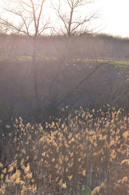 Моя малая Родина..