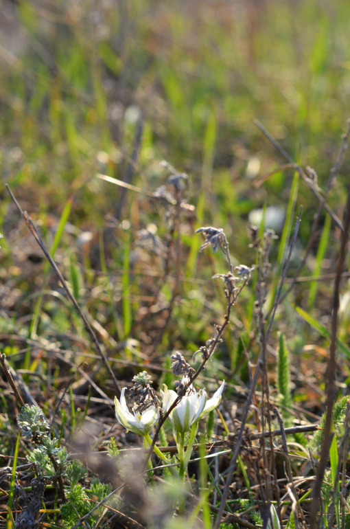 Моя малая Родина..