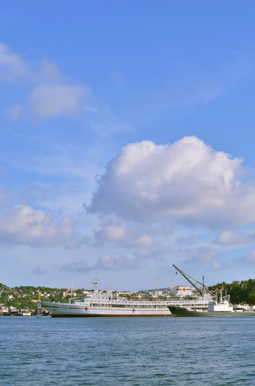 Севастополь,1 июня.