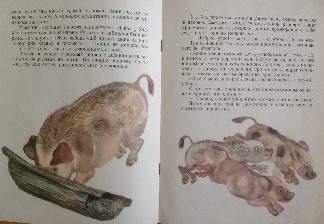 Букинистика. Нечаянная радость