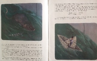 Букинистика. Нечаянная радость