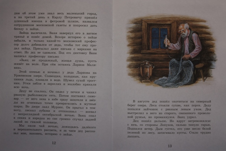 Паустовский заячьи лапы краткое содержание 5 класс. Сочинение заячьи лапы. Паустовский заячьи лапы текст.